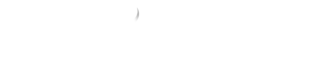 logowhite
